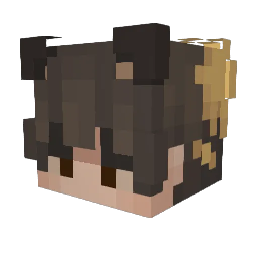 GabobLlama Minecraft avatar head, 3D render