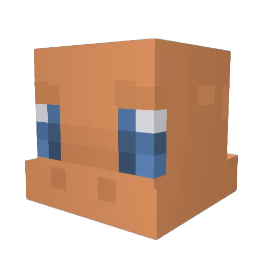 Gaboo_8 Minecraft avatar head, 3D render