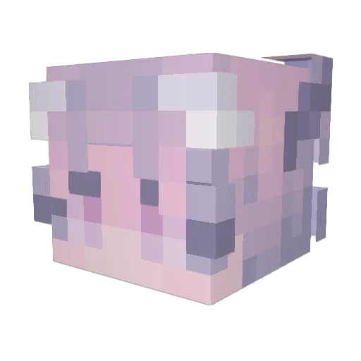 Gabrieeele Minecraft avatar head, 3D render