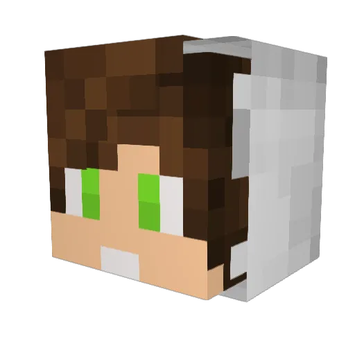 Gabriel3458 Minecraft avatar head, 3D render