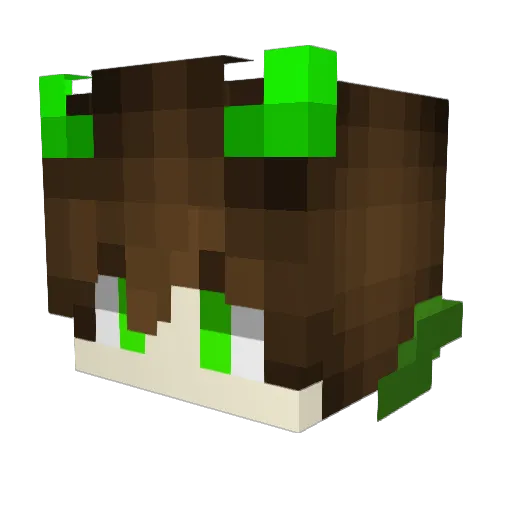 Gabriel97829 Minecraft avatar head, 3D render