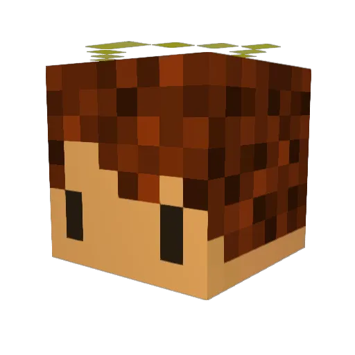 GabrielRichard Minecraft avatar head, 3D render