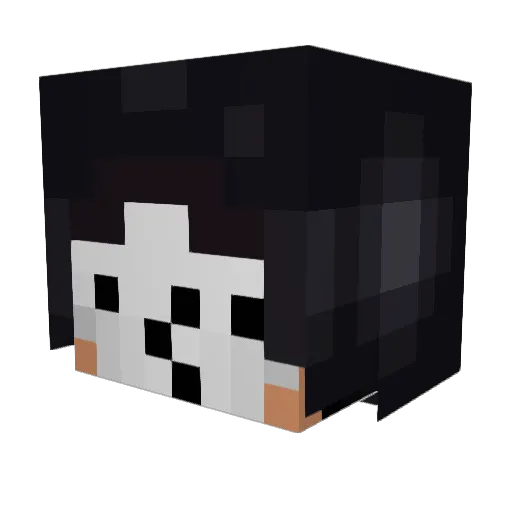 Gabriel_132_ Minecraft avatar head, 3D render