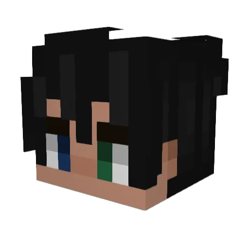 Gabriel_Gomes_70 Minecraft avatar head, 3D render