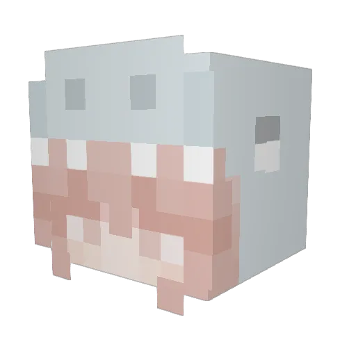 Gabriela210 Minecraft avatar head, 3D render