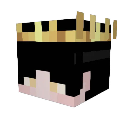Gabrielcamilo9 Minecraft avatar head, 3D render