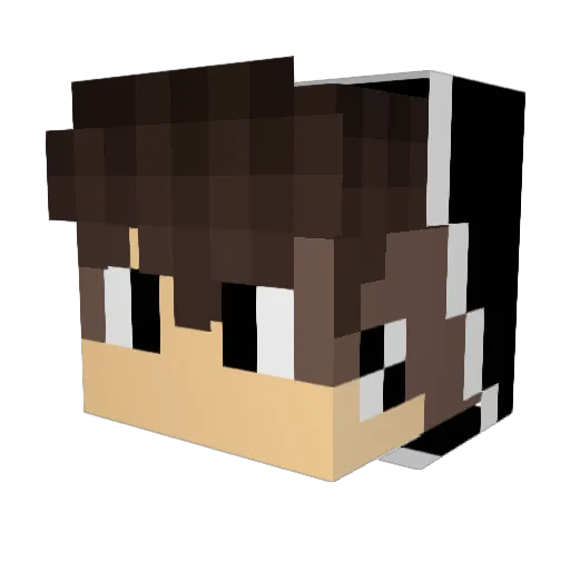 Gabrieljogos25 Minecraft avatar head, 3D render
