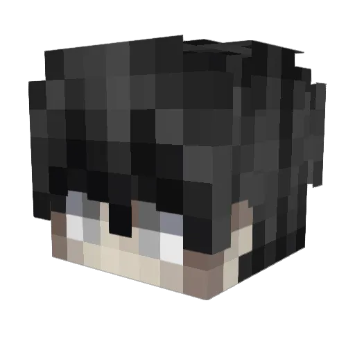 Gabrielsdrgn Minecraft avatar head, 3D render