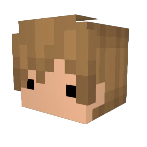 Gabrielzinho_13 Minecraft avatar head, 3D render