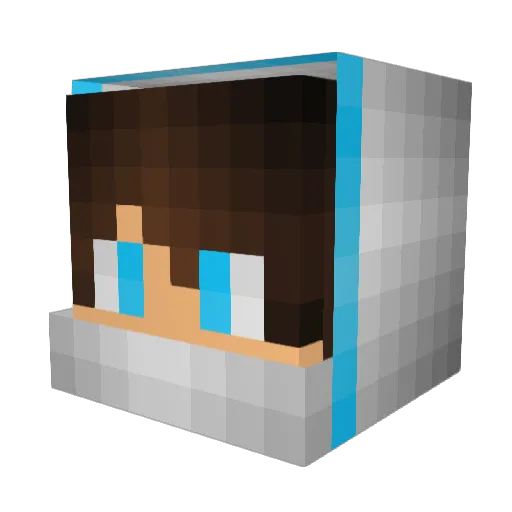 GabryWGF2007 Minecraft avatar head, 3D render