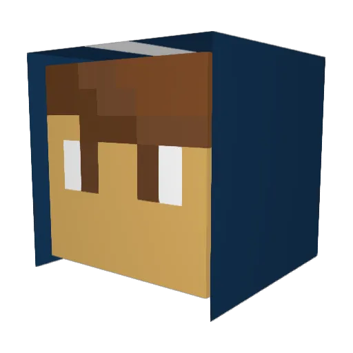 Gabrys750 Minecraft avatar head, 3D render