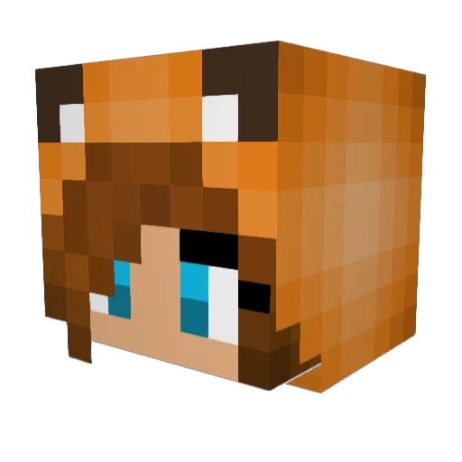Gabs216 Minecraft avatar head, 3D render