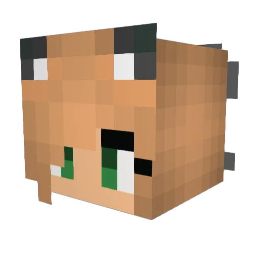 Gabsabubbles Minecraft avatar head, 3D render