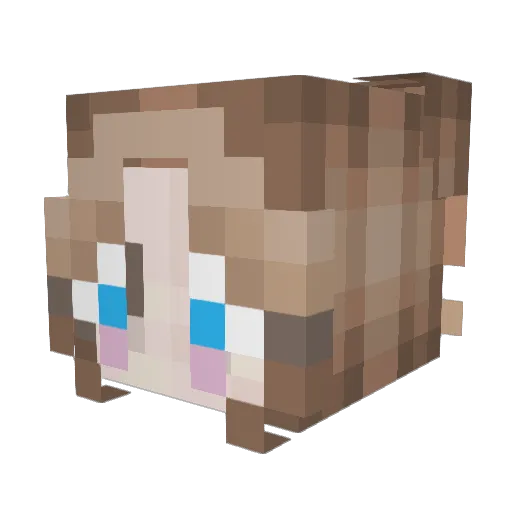 Gabsapleb Minecraft avatar head, 3D render