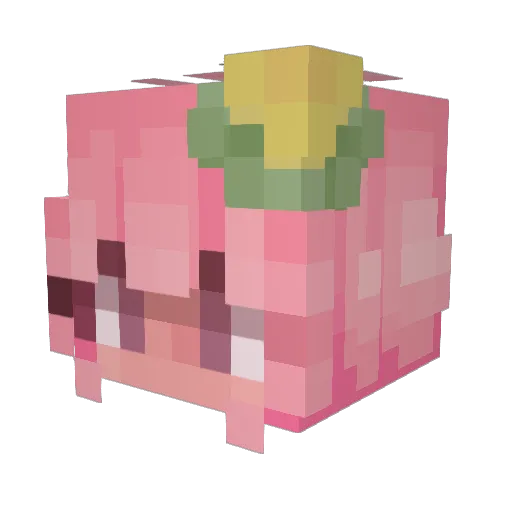 Gabsgod6 Minecraft avatar head, 3D render