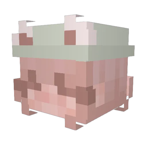 Gabskeez Minecraft avatar head, 3D render