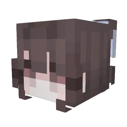 Gabsterdauce Minecraft avatar head, 3D render
