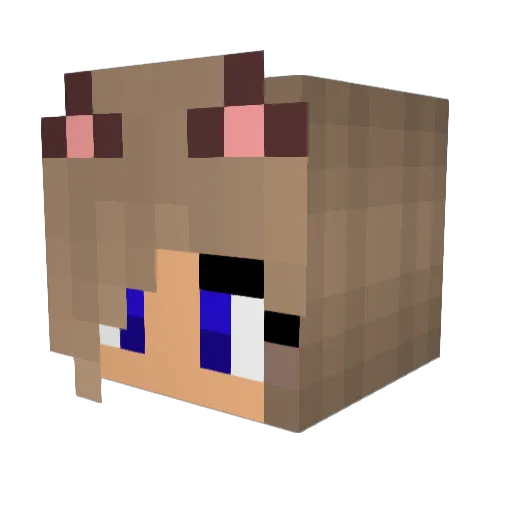 Gabulka1818 Minecraft avatar head, 3D render