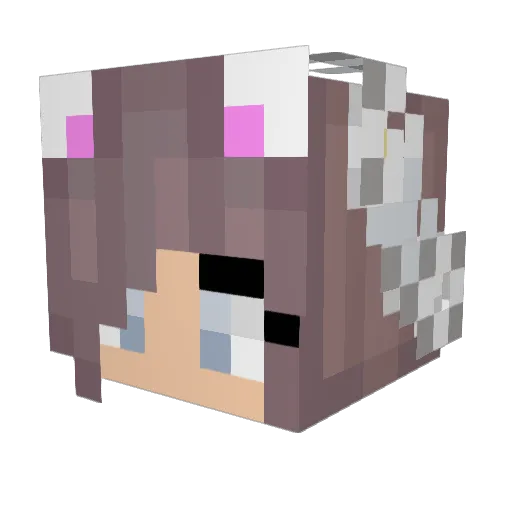 Gabystar123 Minecraft avatar head, 3D render