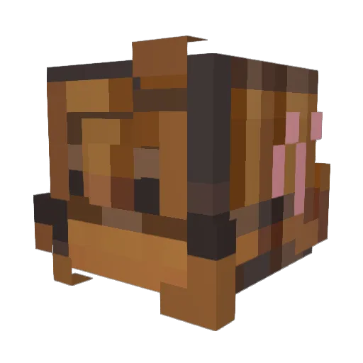 Gabzillaur Minecraft avatar head, 3D render