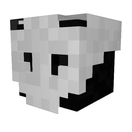 Gacek00 Minecraft avatar head, 3D render