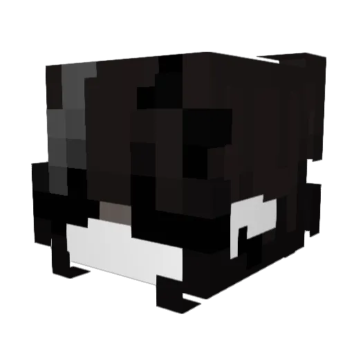 GachaAsh101 Minecraft avatar head, 3D render