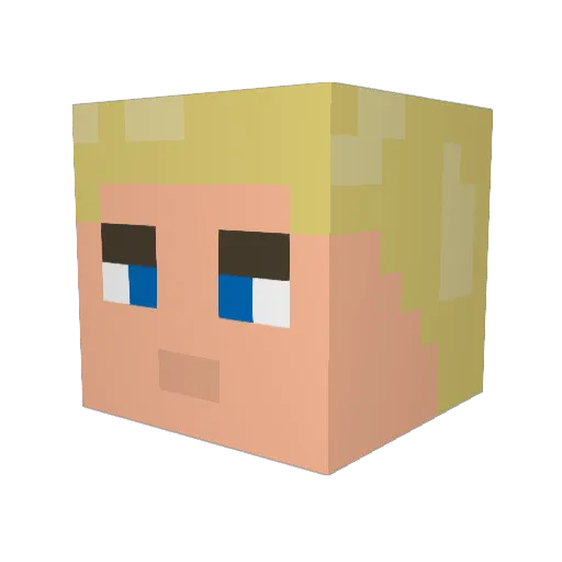 Gadd1on Minecraft avatar head, 3D render