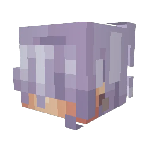 Gadovi Minecraft avatar head, 3D render