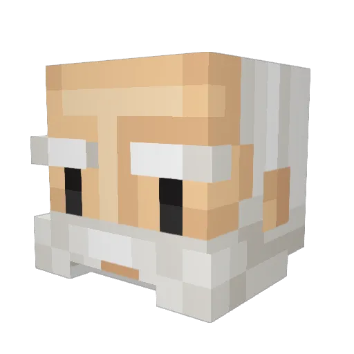 Gaebelus Minecraft avatar head, 3D render