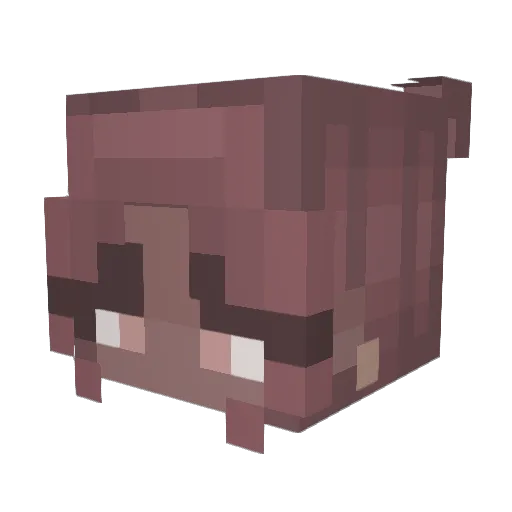 Gael08 Minecraft avatar head, 3D render