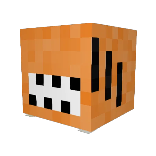 Gaelfly412 Minecraft avatar head, 3D render