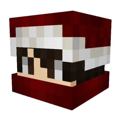 Gaelini Minecraft avatar head, 3D render
