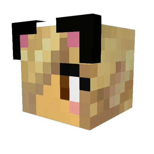 Gaelle5682 Minecraft avatar head, 3D render