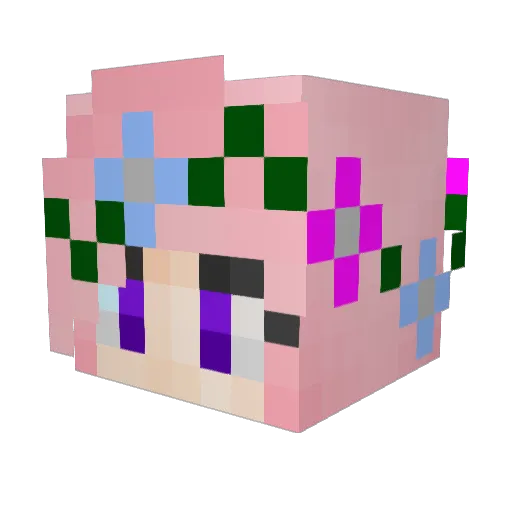 GaenRegarded Minecraft avatar head, 3D render