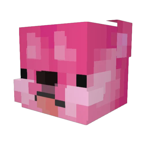 Gaenam Minecraft avatar head, 3D render