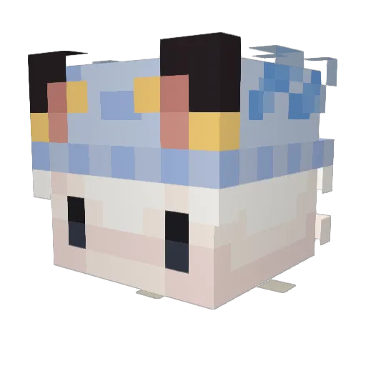 Gaffu_Cat Minecraft avatar head, 3D render