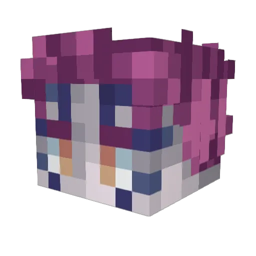 Gage_347 Minecraft avatar head, 3D render