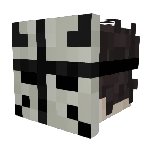 GaiaGod4356 Minecraft avatar head, 3D render