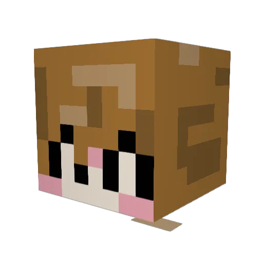 Gaiae Minecraft avatar head, 3D render