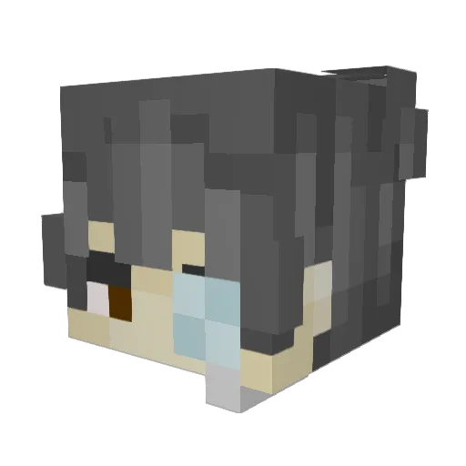 Gaiamis Minecraft avatar head, 3D render