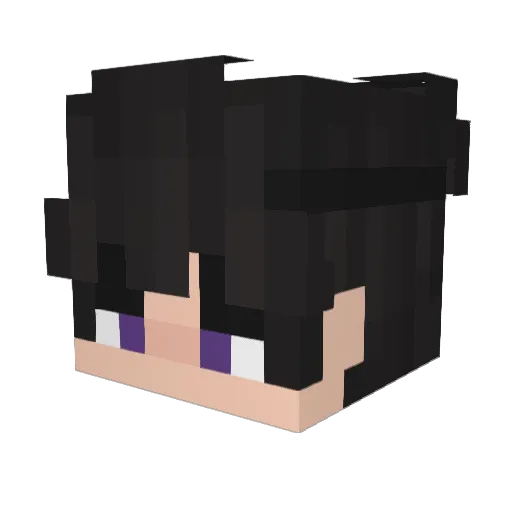 Gaiden40 Minecraft avatar head, 3D render