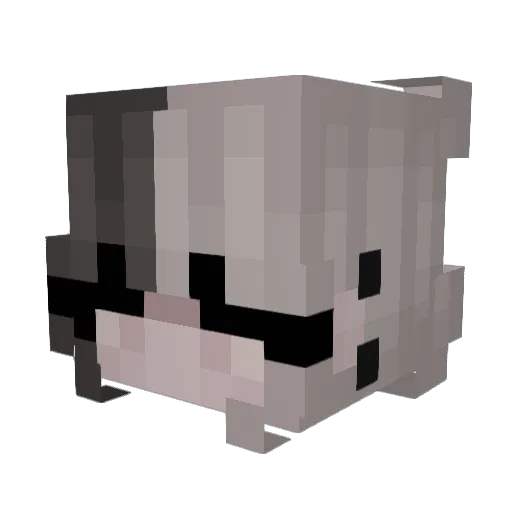 GaimaGurl14 Minecraft avatar head, 3D render