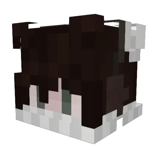 Gaius009 Minecraft avatar head, 3D render
