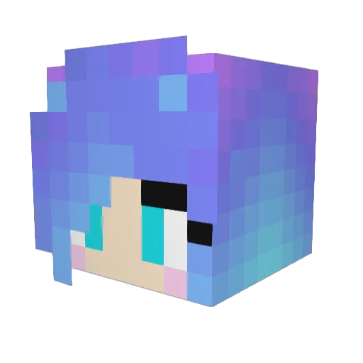 Gajeel666 Minecraft avatar head, 3D render