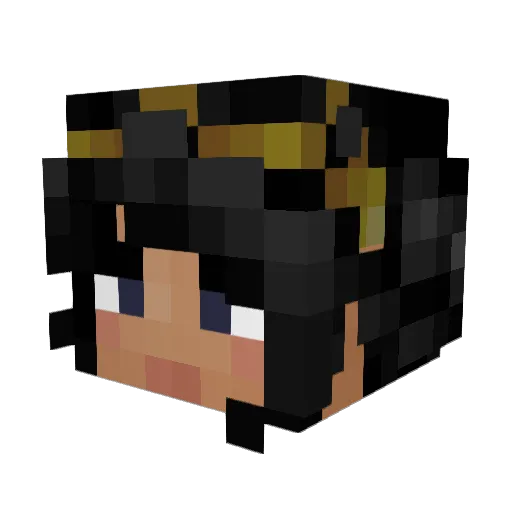 GalPal1802 Minecraft avatar head, 3D render
