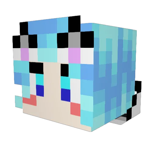GalacticFalcon5 Minecraft avatar head, 3D render