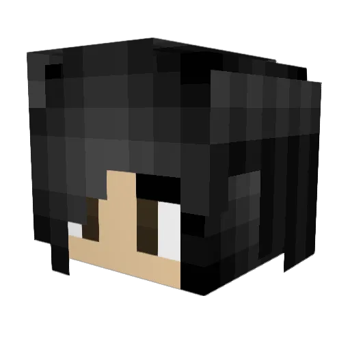 GalacticFirefly Minecraft avatar head, 3D render