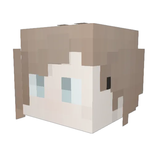 GalacticNyan Minecraft avatar head, 3D render