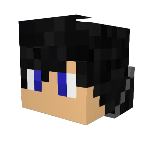 GalacticWalsh Minecraft avatar head, 3D render