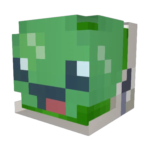 Galactic_Turtle_ Minecraft avatar head, 3D render